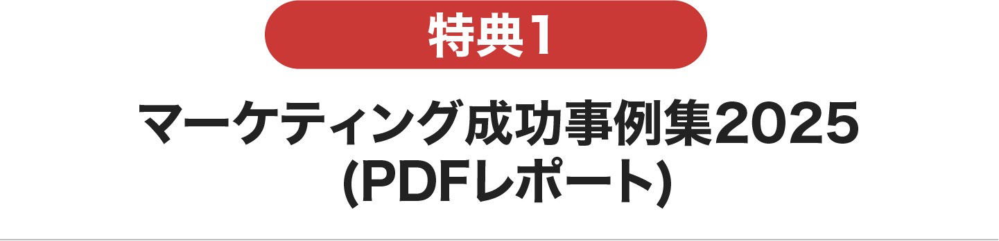 マーケティング成功事例集2025 (PDFレポート)
