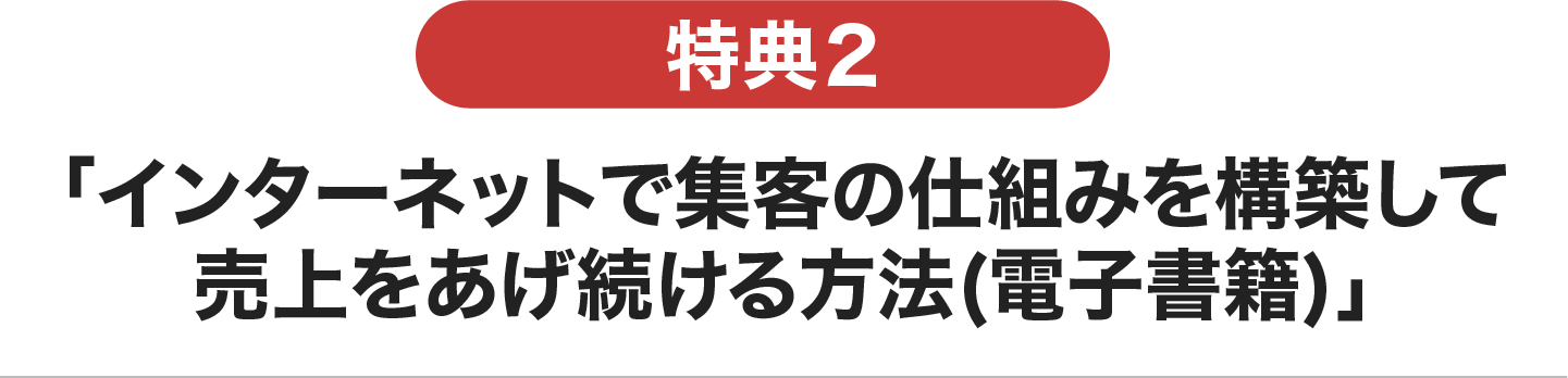インターネットで集客の仕組みを構築して売上をあげ続ける方法(電子書籍)